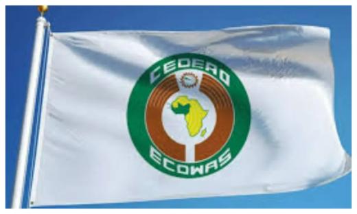 ECOWAS: Election of new leadership underway as 67th ordinary summit holds in Abuja