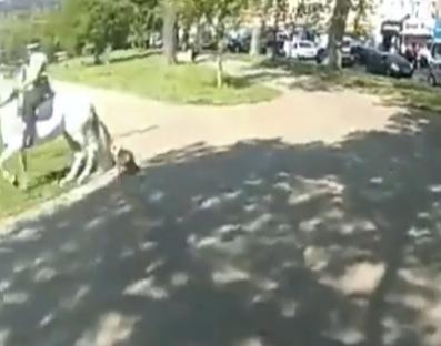 A person on horseback near a person on the ground.
