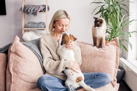 Woman cuddling her dog on a couch, with a cat watching.