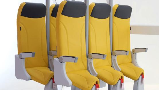 Budget airlines could launch standing-only seats as early as next year in bid to increase capacity on flights