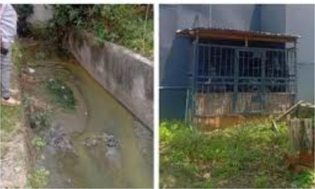 Lagos Government Shuts Down YABATECH Sewage Plant
