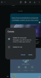Screenshot of a phone showing options to delete a message for everyone or just for the sender.