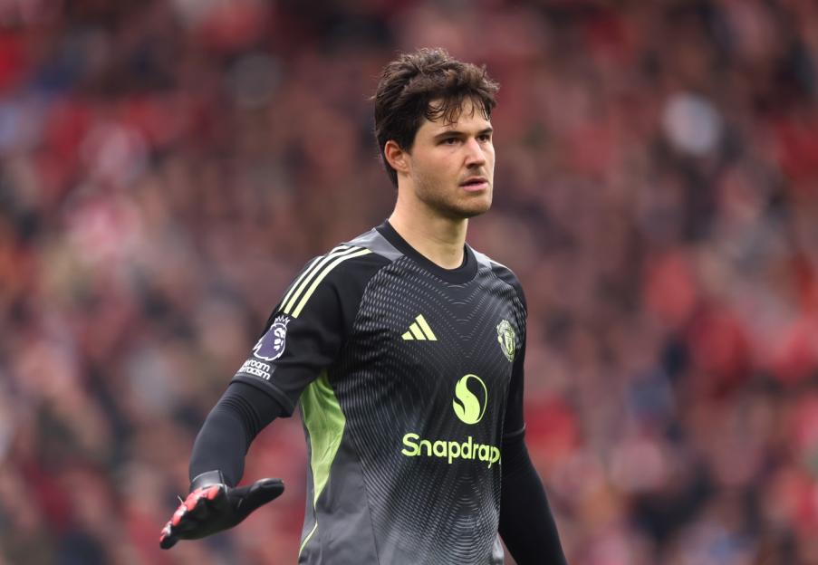 Manchester United goalkeeper wearing a gray and lime green uniform.