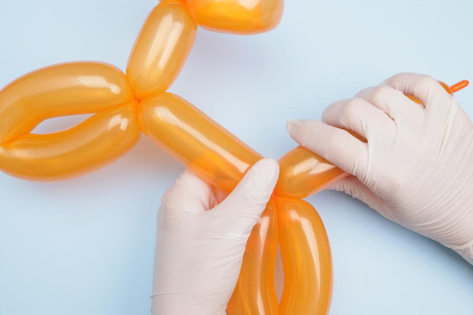 Illegal immigrants facing boot from UK will no longer be taught balloon art and flower arranging – paid for by YOU