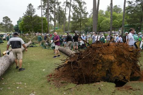 Golf spectators standing near upturned trees on a golf course.