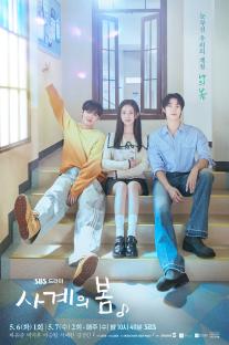 Ha Yoo Joon, Park Ji Hu, And Lee Seung Hyub Sit Between Friendship And Romance In New Drama “Spring of Youth” 3