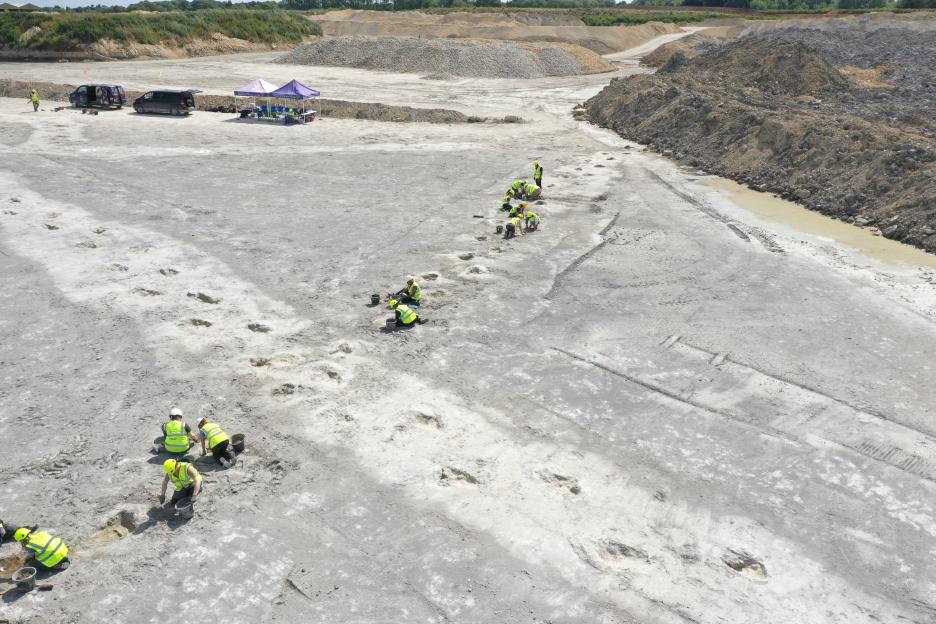 Archaeologists uncovering dinosaur footprints at Dewars Farm Quarry in Oxfordshire.