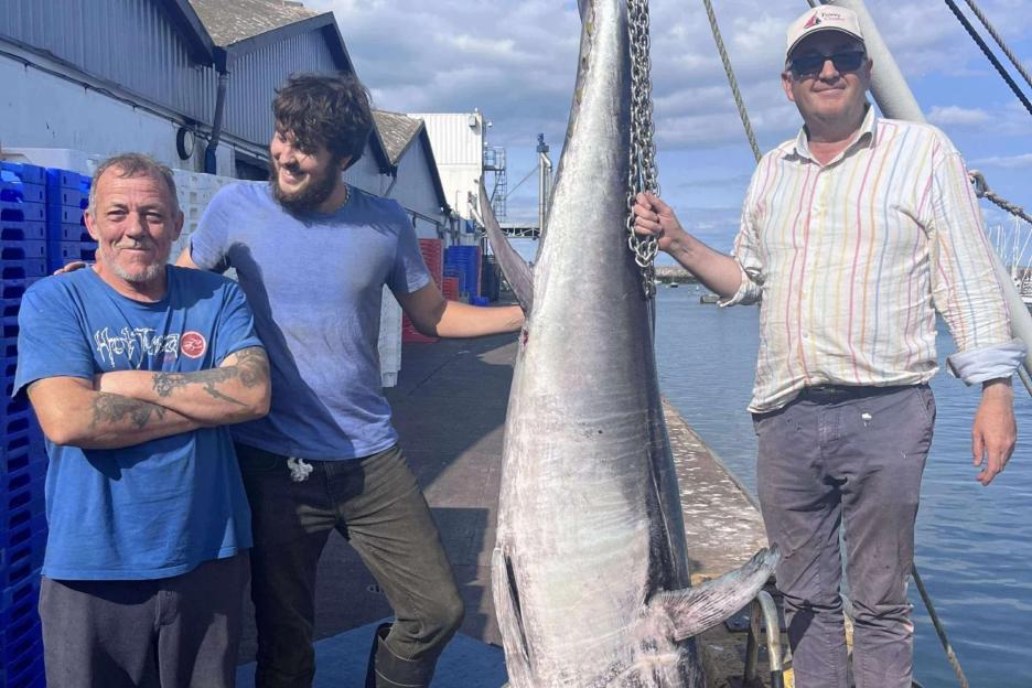 Massive 8ft tuna weighing 32st which can feed a THOUSAND people caught off UK’s south coast