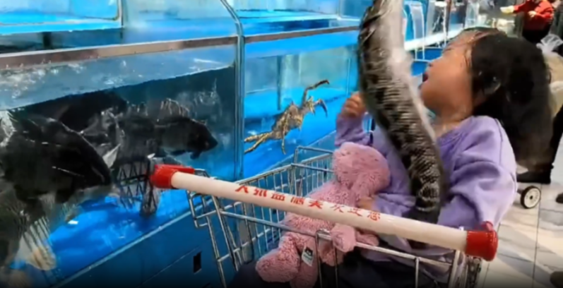 Fishy Surprise: Supermarket Fish Jumps Out of Tank and SLAPS Little Girl!