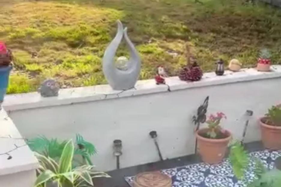 I bought a bargain picket fence on Temu to make my garden pretty & keep my dog off the wall – but made an epic mistake