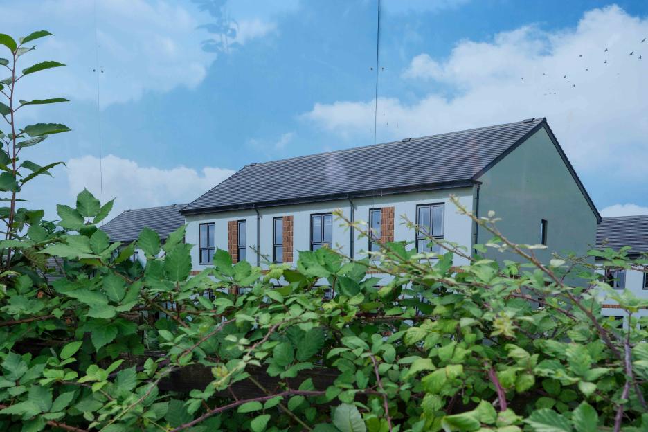 Demolished houses partially obscured by foliage.