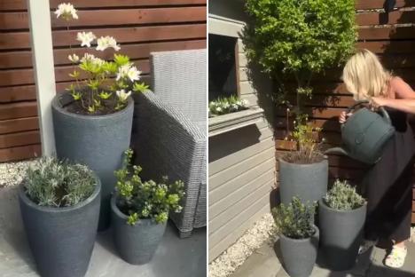 B&M shoppers are giving their gardens a summer glow up with £12 bargain