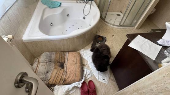 A soiled mattress in a bathroom.
