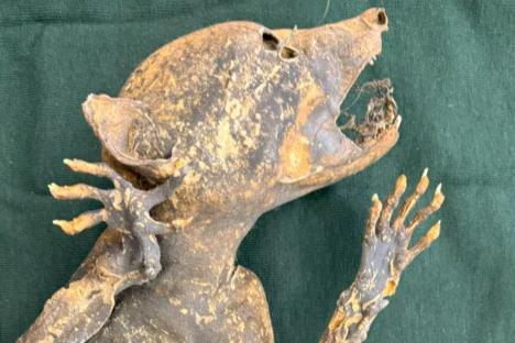 Mummified creature with human-like hands found next to severed head is linked to legend of blood-sucking beast