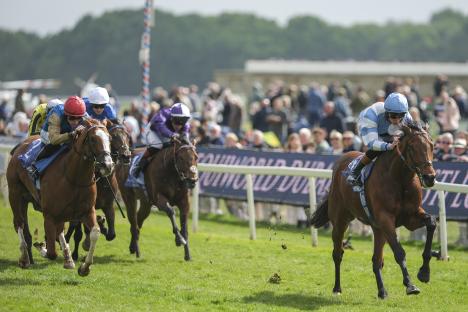 Horse race at York Racecourse.
