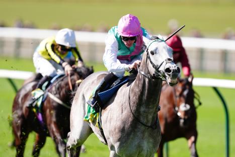 ‘The ‘wow’ factor’ – From 25-1 to 3-1 in seconds… bookies can’t keep up with surge of bets for 2000 Guineas favourite