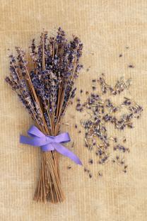 Dried lavender bouquet with purple ribbon on brown paper.