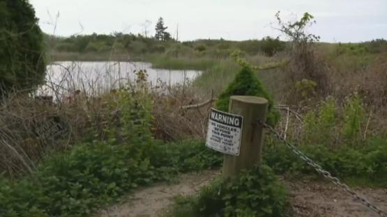 A pond with a