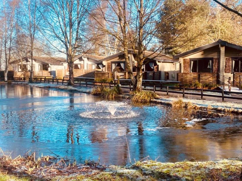 Cabins by a pond at Sherwood Castle Retreat.
