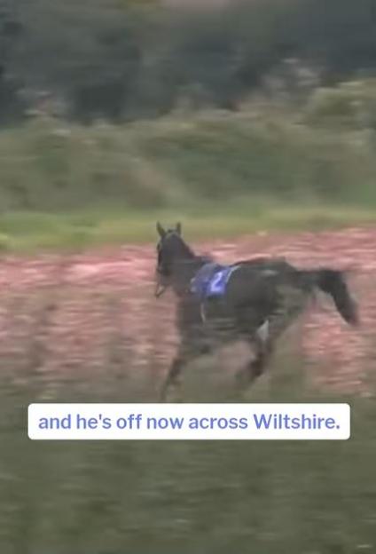 A racehorse with the number 2 running through a field with a text overlay "and he's off now across Wiltshire."