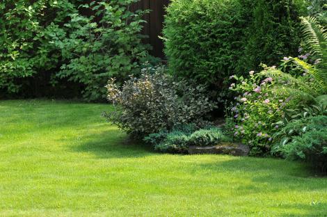 Landscaped lawn with ornamental trees and shrubs.