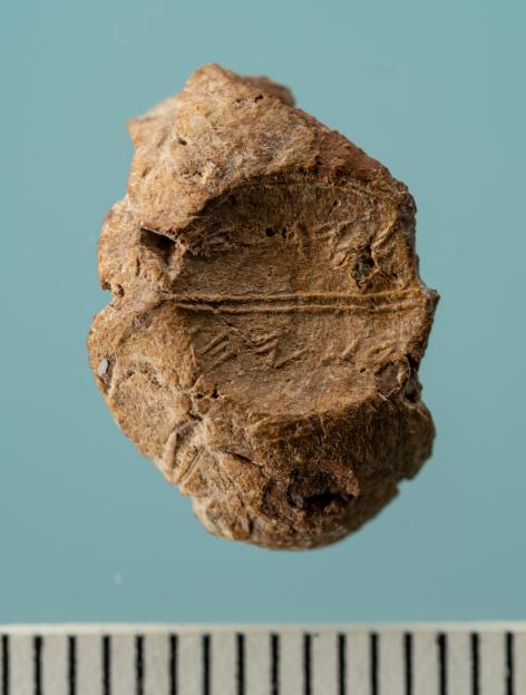 Close-up of an ancient clay sealing with inscription.