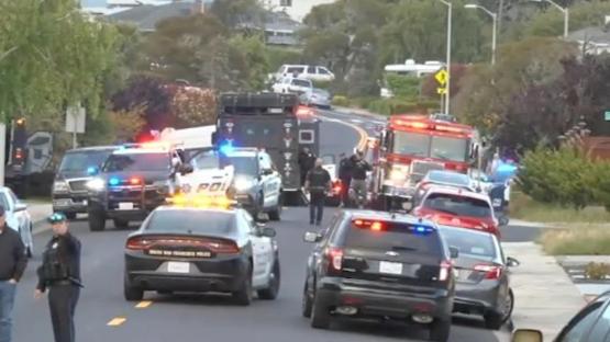 Famed guitarist killed in ‘dispute over tree trimmings’ after he grabbed three guns and opened fire from driveway