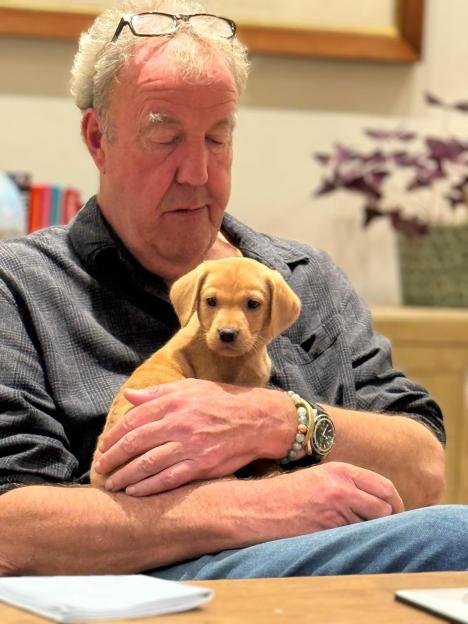 Jeremy Clarkson holding a puppy.