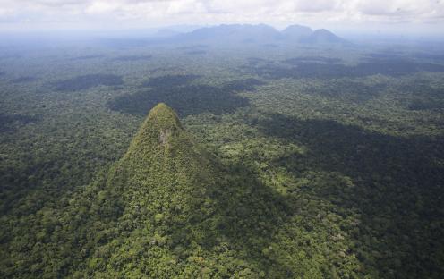 Aerial view of a forested mountain range.
