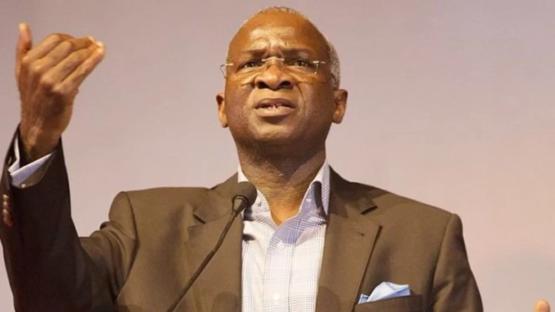 June 12: Fashola tasks Nigerian government on rule of law