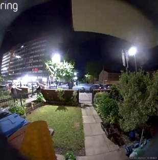 Nighttime security camera footage of a dog attack.