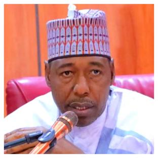 ‘They’re getting international support’ – Gov Zulum raises alarm as Boko Haram, ISWAP regroup
