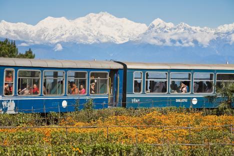 Darjeeling Himalayan Railway toy train with passengers, passing a field of flowers, with snow-capped mountains in the background.