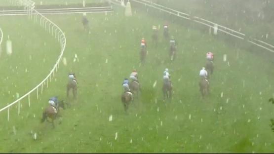 ‘This is wild’ – Race dramatically STOPPED after horses and jockeys pelted with ‘painful’ hailstones