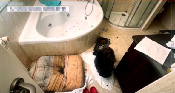 Photo of a dirty bathroom with a dog and soiled pet bed.