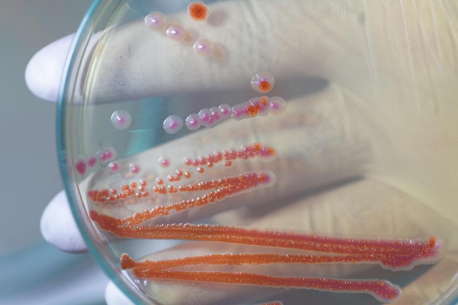 Two babies killed by infection linked to ‘contaminated washing up liquid’ in hospital sparking urgent recall