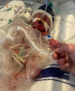 A newborn baby's hand grasped by an adult's hand.