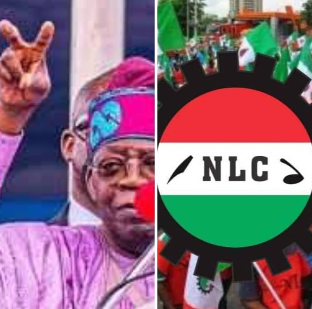 Again NLC Issues Nationwide Strike Notice, Releases Date, Mobilizes Members, ETC.