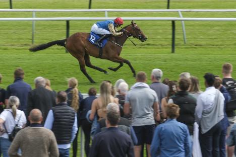 Awesome £650,000 horse with ‘a hell of an engine’ instantly made Royal Ascot favourite after astonishing debut