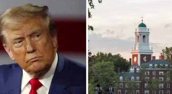 US Senator reacts as Harvard University sues Trump’s administration over slashed billions in funding