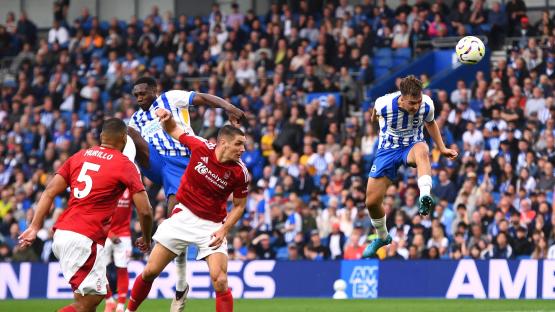 Brighton vs Nottingham Forest live stream FREE: How to watch FA Cup quarter-final today