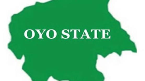 Federal workers begin indefinite strike in Oyo [PHOTOS]