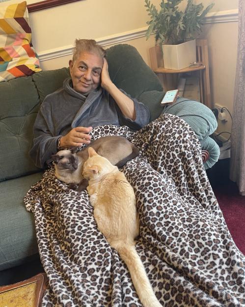 Gogglebox star Sid Siddiqui sits on a couch under a leopard print blanket with two cats sleeping on his lap.