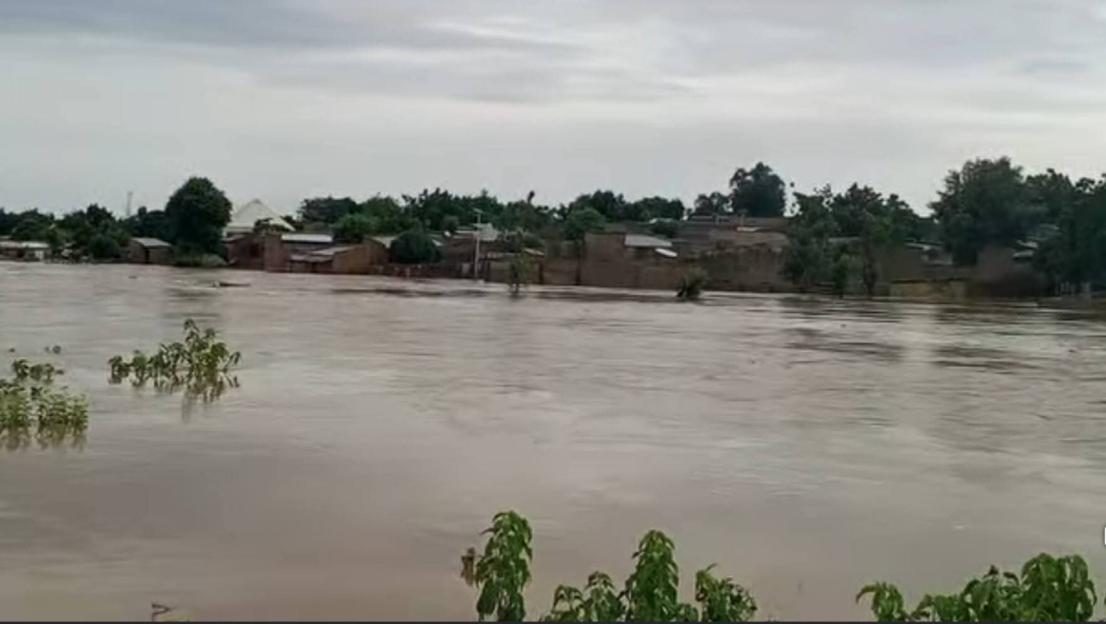 Flood Warning: Niger Government Urges Coastal Residents to Evacuate