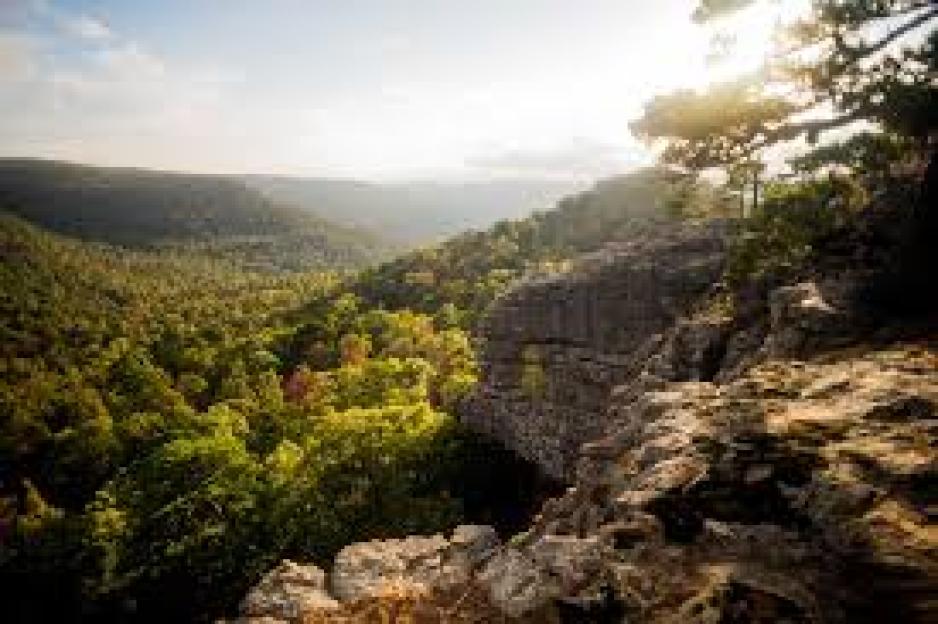 Sam's Throne Campground in Arkansas with a view of a forested valley.