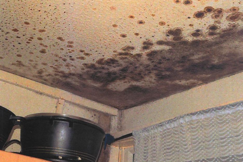Damp and mould inside Awaab's home