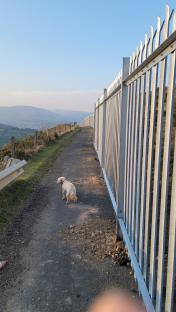 Our beauty spot village has been ruined by a massive 200m steel fence – it’s like the Great Wall of China