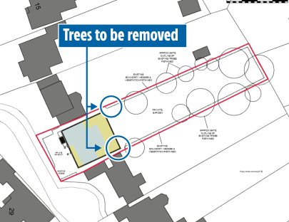 Site plan showing trees to be removed.