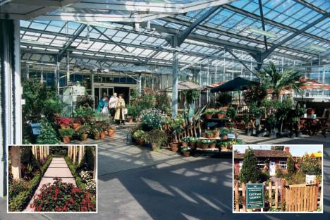 Inside the UK’s biggest garden centre with soft play, shopping village & its own tea room that’s perfect for Easter hols