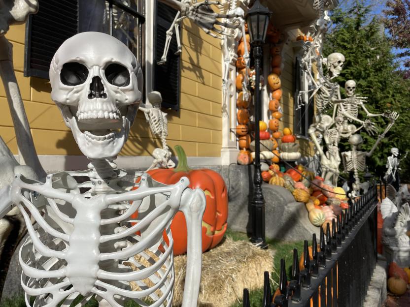 Human Skeleton Decorations